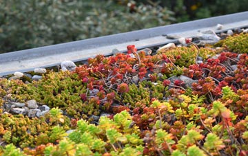 the cost of Berkley green roof installation