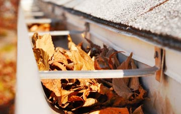 Berkley gutter cleaning companies
