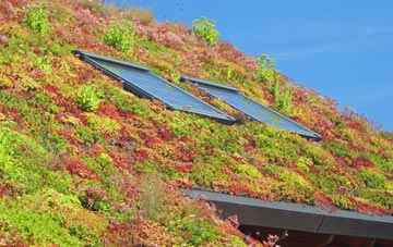Berkley living roof systems