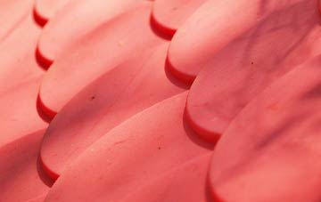 Berkley plastic roof costs