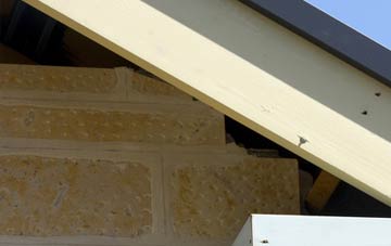 soffit repair Berkley