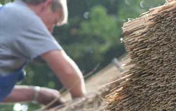 professional Berkley thatchers