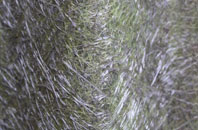 Berkley fibreglass roof work